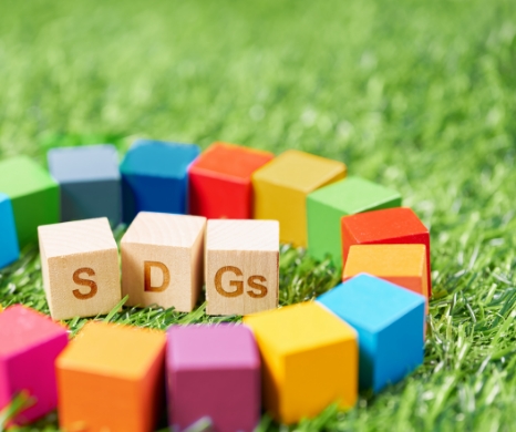 SDGs等への取り組み
