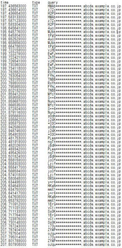 図2:確認された不正なDNSパケットの一部
