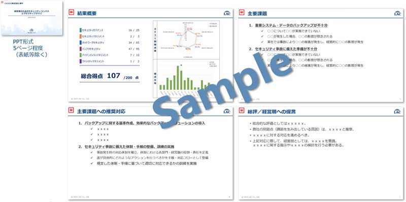 エクゼクティブサマリ(PPT形式)