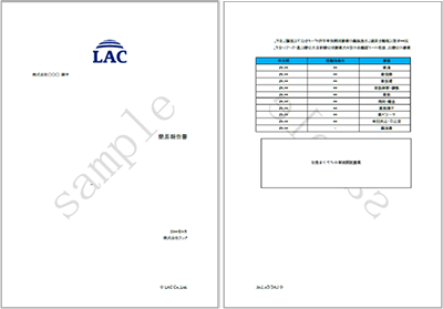 簡易報告書のサンプル画像