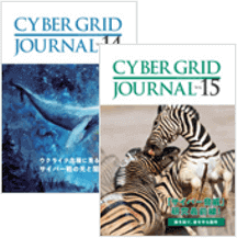 CYBER GRID JOURNAL