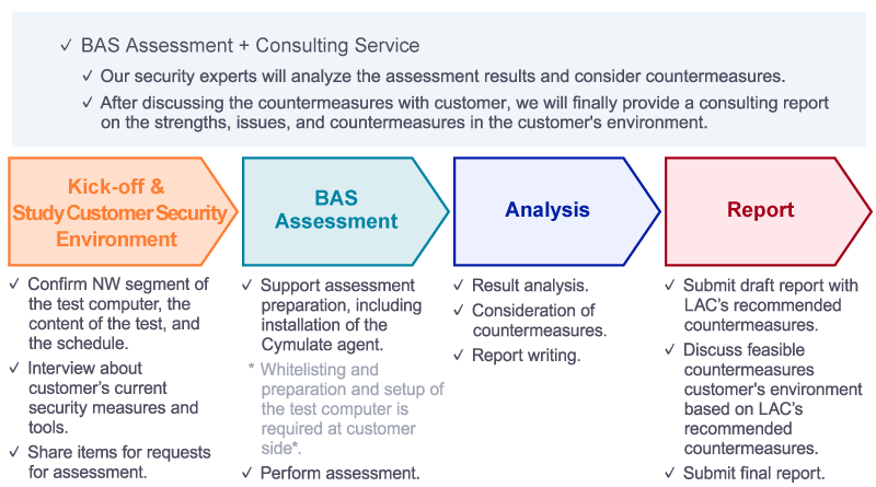 BAS Assessments Combined with Consulting Services