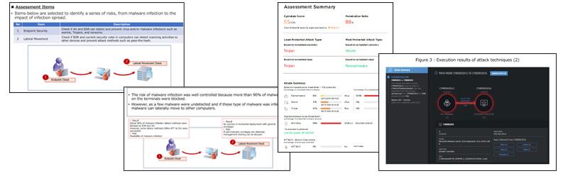 BAS Assessments Combined with Consulting Services