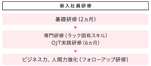 新入社員研修：基礎研修（2ヵ月）→専門研修（ラック固有スキル）、OJT実践研修（6ヵ月）→ビジネス力人間力強化（フォローアップ研修）