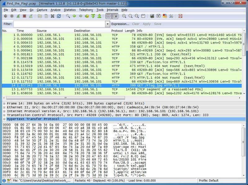 演習問題のファイルをWiresharkで開き、Flagという文字など気になるものを探します