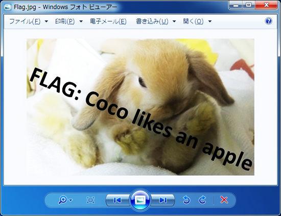 保存した「Flag.jpg」ファイルを開きます