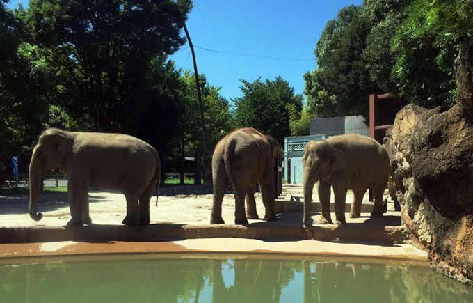 上野動物園