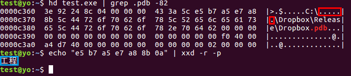 図10 PDBファイルの確認