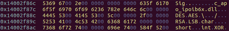 SigLoader（2nd）にハードコードされたファイル名や暗号化方法