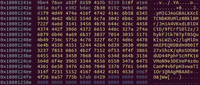 DelfsCakeにハードコードされたRSA公開鍵