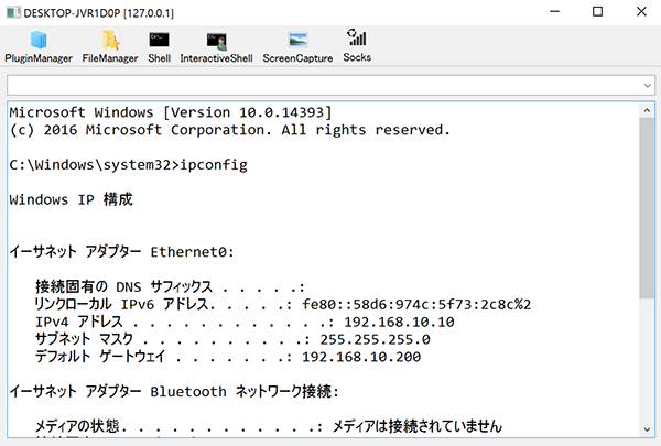 図19 cmdモジュールを利用したシェルコマンドの実行（ipconfig）