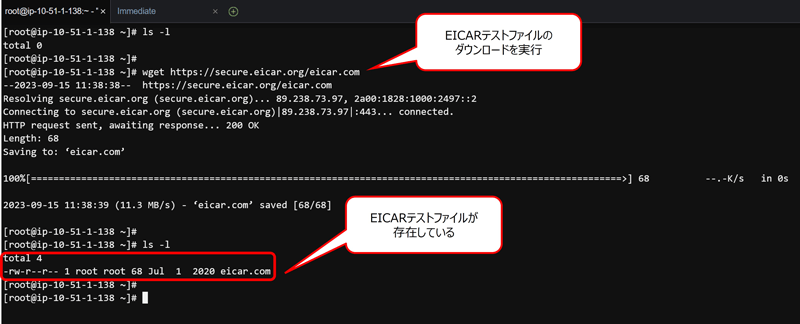 MDfE未導入サーバーではリアルタイム保護機能が働かず、EICARテストファイルが残存したままとなる