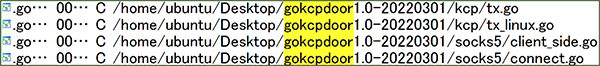 図7 コンパイル環境に含まれる文字列（gokcpdoor1.0-20220301）