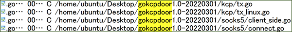 図7 コンパイル環境に含まれる文字列(gokcpdoor1.0-20220301)