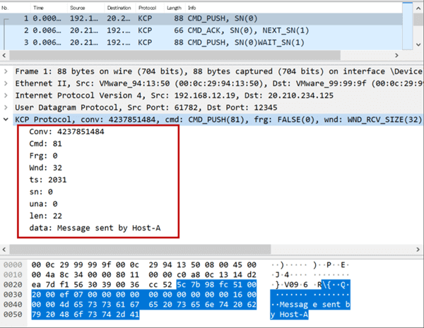 図23 WiresharkでKCP dissectorの利用例