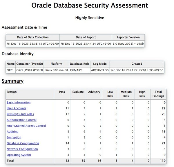 DBSATを実行した日時や、評価対象としたOracle Databaseを識別する情報、評価した各項目の結果のサマリー