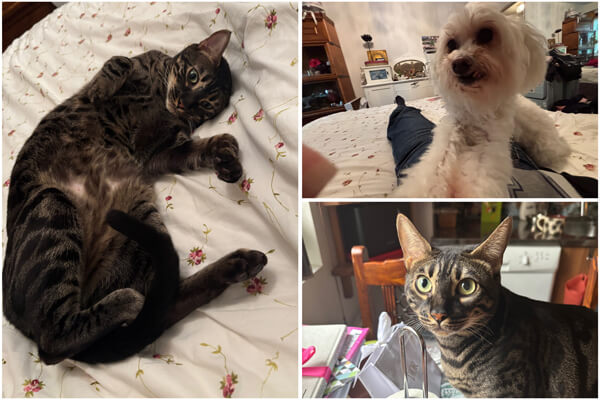 ホームステイ先の家族