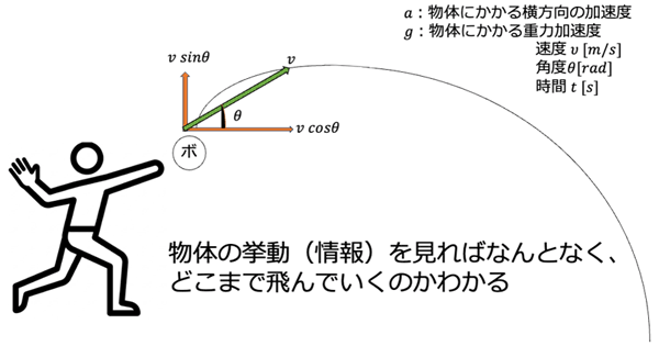 物体の挙動（情報）を見ればなんとなく、どこまで飛んでいくのかわかる