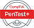 pentest+